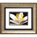 Propac Images White Poccoon I / II Wall Art (Set of 2)
