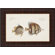 Paragon Antique Fish by Bloch Waterfront Art (Set of 4) - 19" x 27"