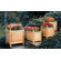 Kingsley Bate Solid Teak Versailles Planter
