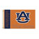 BSI Products NCAA Traditional Flag