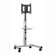 Chief Manufacturing Universal Mobile Plasma/LCD Cart (30" - 55" Screens)
