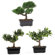 Nearly Natural 8.5" Silk Bonsai Plant in Green (Set of 3)