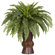 Nearly Natural Boston Fern with Bamboo Vase