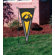 The Party Animal, Inc NCAA Garden Pennant