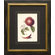 Phoenix Galleries Apples Framed Print