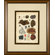 Phoenix Galleries Minerals 4 Framed Print