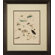 Phoenix Galleries Insects Framed Print