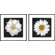 Phoenix Galleries Daisy Framed Prints