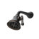 Rohl Mantova Style 8 Jet Shower Head with Adjustable Spray