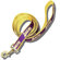 Sporty K9 NBA Dog Leash