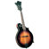 Saga Kentucky Artist F-Model Mandolin with Removable Buttons
