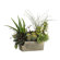 Tori Home 18" Succulents Plant Arrangement with Terra Cotta Pot
