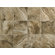 Marazzi Archaeology 6-1/2" x 6-1/2" Modular ColorBody Porcelain in Troy