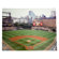 Artissimo Designs MLB Stadium Canvas Wall Art