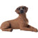 Sandicast Small Size Rhodesian Ridgeback Sculpture