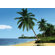 Brewster Home Fashions Komar African Beach 8-Panel Photomural