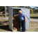 Absco Spacesaver Steel Tool Shed