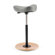 Varier Move Stool