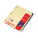 Avery Copper Reinforced Preprinted Black Leather Tab Dividers