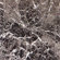 Home Dynamix Vinyl Machine Grey Marble Floor Tile (Set of 30)