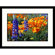 Great American Picture Poppies Tehachapi Framed Photograph