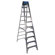 Werner 10' Aluminum Step Ladder