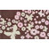 The Rug Market Sparkle Flies Brown Kids Rug