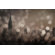 Parvez Taj NY Sleeping Wall Art