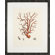 Mirror Image Home Red Coral I Art