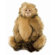 Hansa Toys Monkey Stuffed Animal Collection III