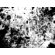 Screen Gems Abstract II Canvas Wall Art