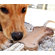 ABO Gear Tug Bone Dog Toy