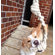 ABO Gear Knotted Braided Dog Toy
