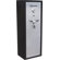 Honeywell Executive/ Long Gun Safe in Brushed Aluminum