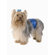 Max's Closet Belly Bands Dog Diapers