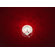 Absolut Lighting Shining Wonderland Wall/Ceiling Light