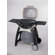 Weber Q Stationary Cart