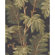 York Wallcoverings Tommy Bahama Archival Palm Tree Unpasted Wallpaper