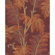 York Wallcoverings Tommy Bahama Archival Palm Tree Unpasted Wallpaper