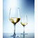 Schott Zwiesel Tritan Congresso Drinkware Collection