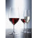 Schott Zwiesel Tritan Forte 13.6 Oz Red Wine Glass (Set of 6)
