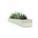 Gus* Modern Rectangular Fruit Trough Planter