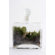 Twig Terrariums Tropisma Female DIY Kit