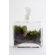 Twig Terrariums Tropisma Male DIY Kit