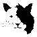 Avalisa Animal Face - Cat Stretched Wall Art