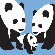Avalisa Animal - Three Pandas Stretched Wall Art