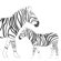 Avalisa Animal - Zebra Stretched Wall Art