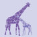 Avalisa Animal - Reticulated Giraffe Stretched Wall Art
