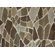 Loloi Rugs Expression Ivory/Granite Rug