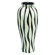 Aspire Modern Zebra Print Floral Vase